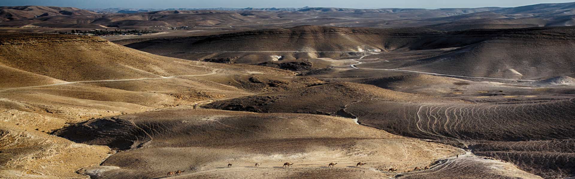 desert landscape