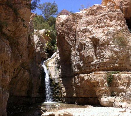 Nahal_Arugot_(Ein_Gedi)_600